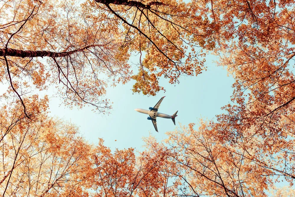 Airplane flying through the sky as seen from the ground through autumn trees